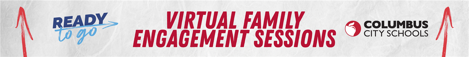 VFES Banner